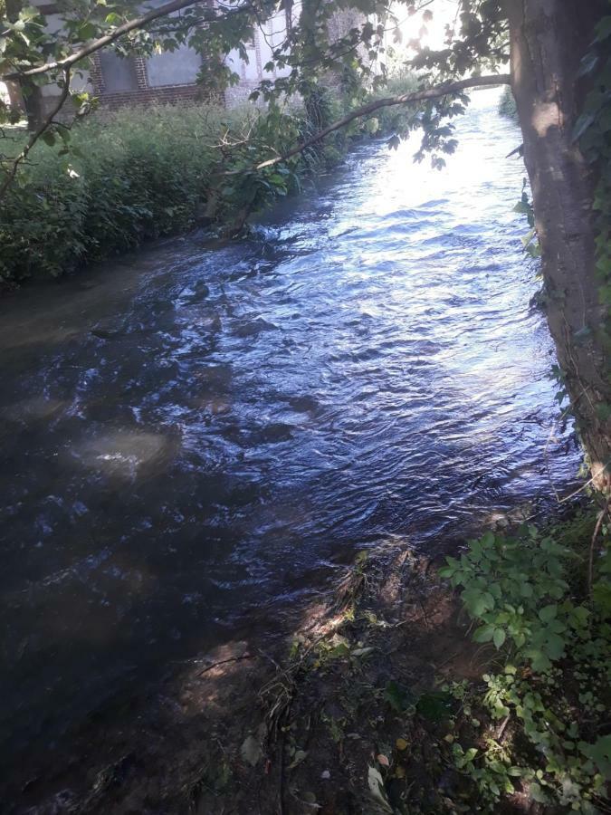 Gite Au Bord Du Lac Montville Bagian luar foto